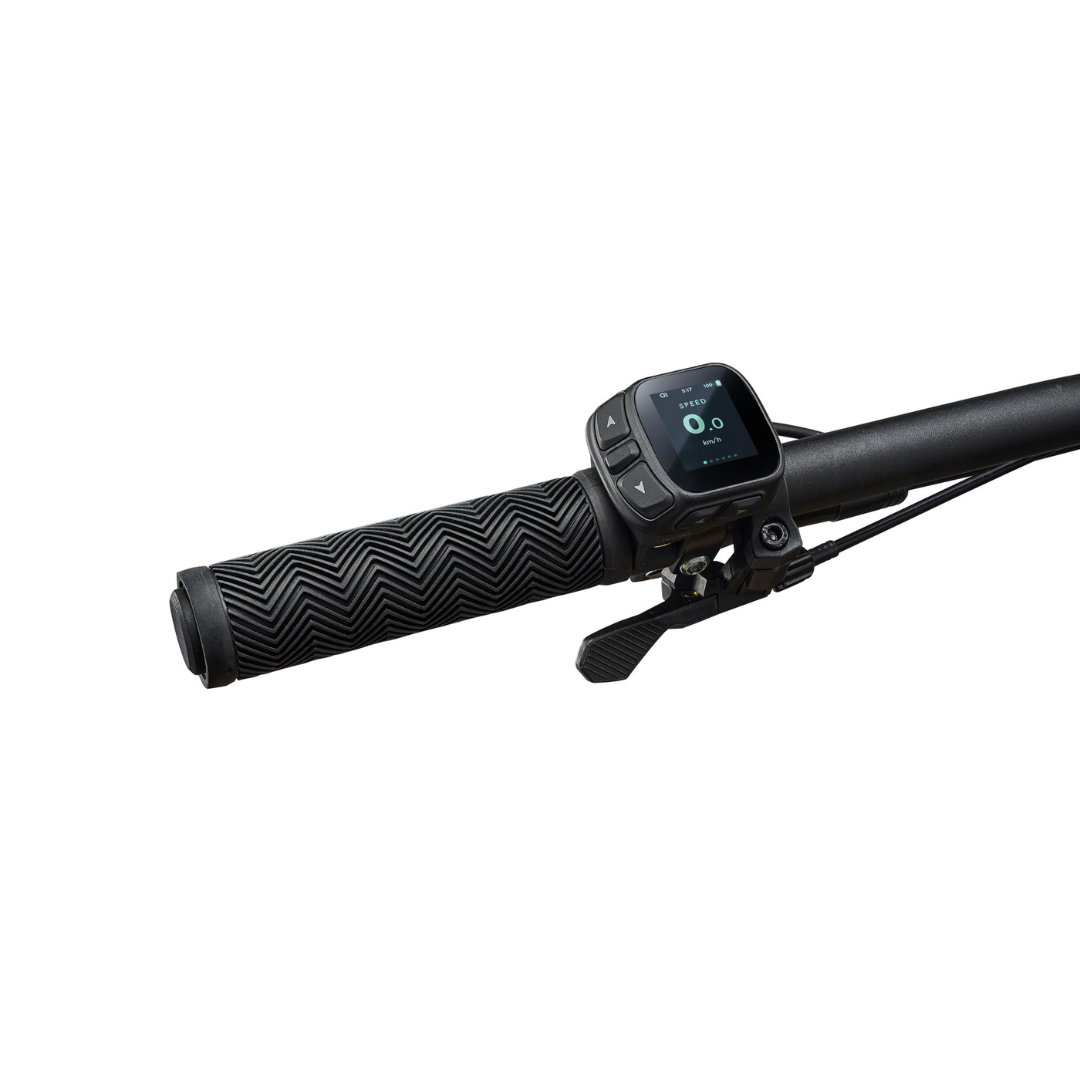 GIANT FATHOM E+ S 750Wh