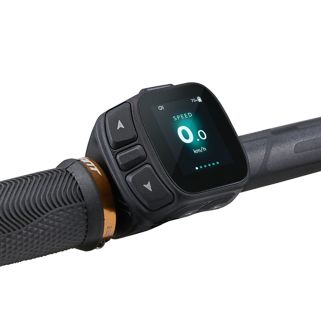 GIANT STANCE E+ 0 100Nm 800Wh