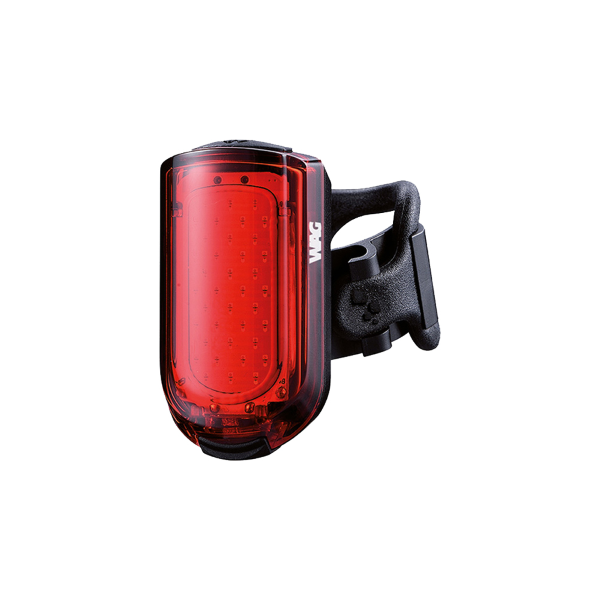 LUCE POSTERIORE REGGISELLA WIKI WAG