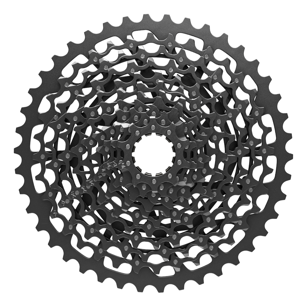 PACCO PIGNONI SRAM XG-1150 11V. 10-42T.