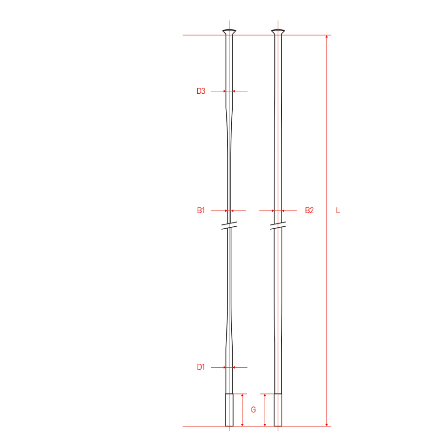 RAGGI DT-SWISS AELII 2.0/0.7/3.1 X 272 TH S