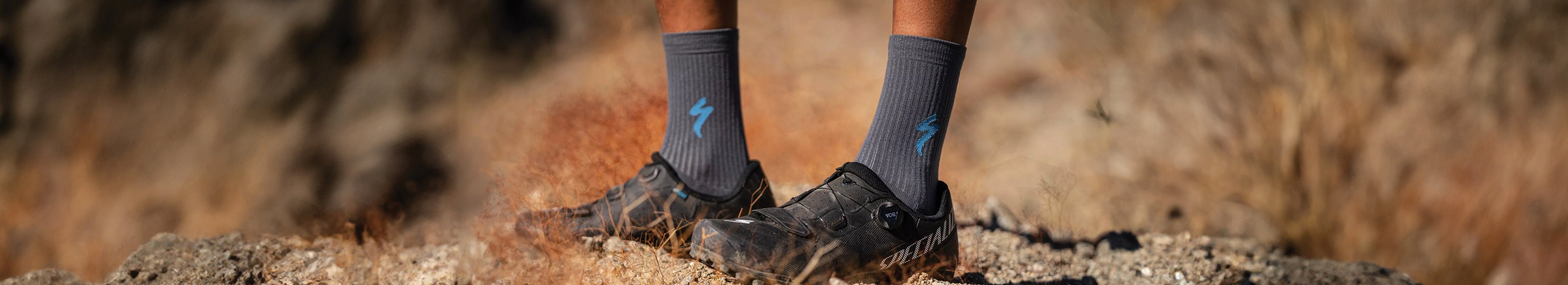 Filtered Collection Image