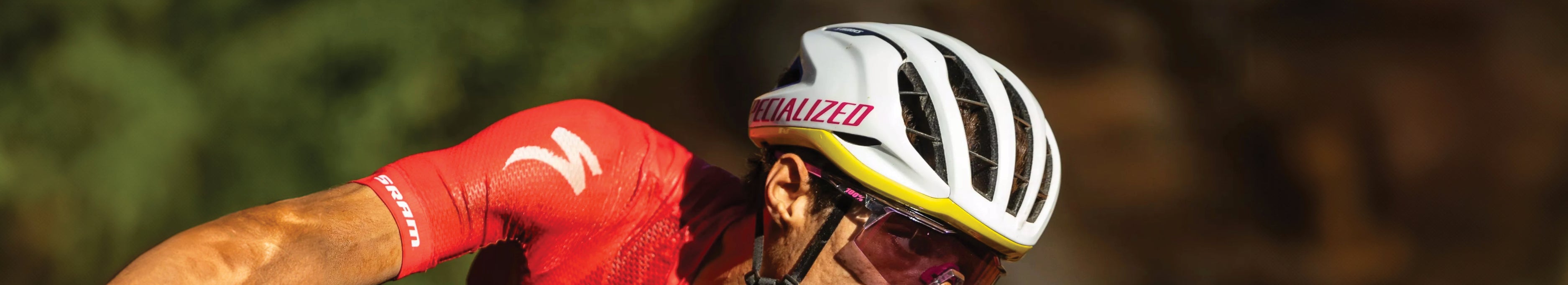 Filtered Collection Image