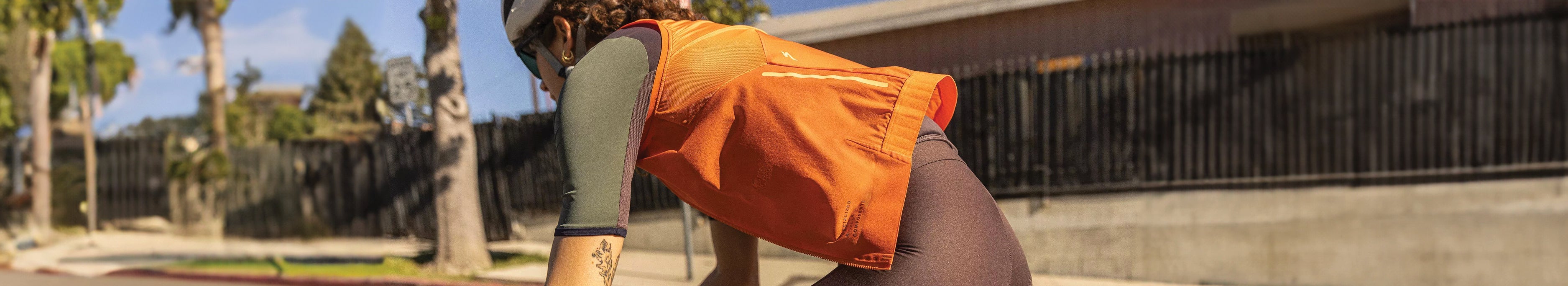 Filtered Collection Image