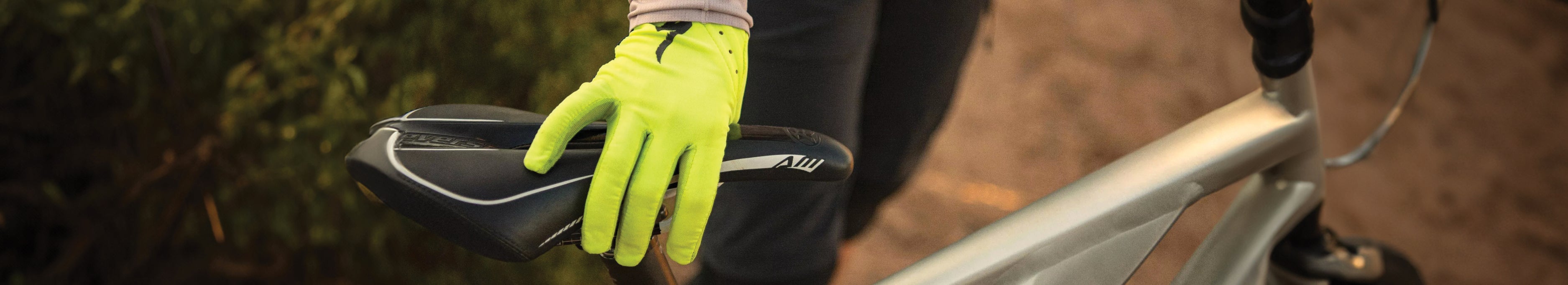 Filtered Collection Image