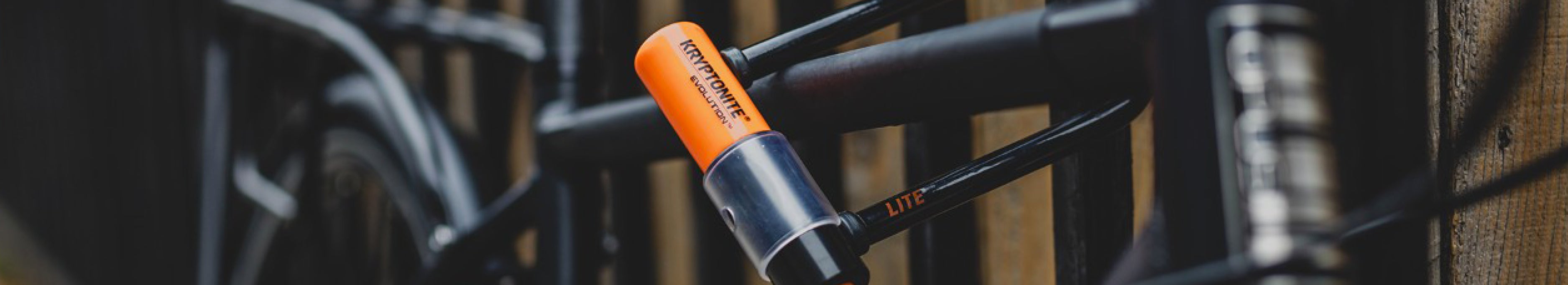 Filtered Collection Image