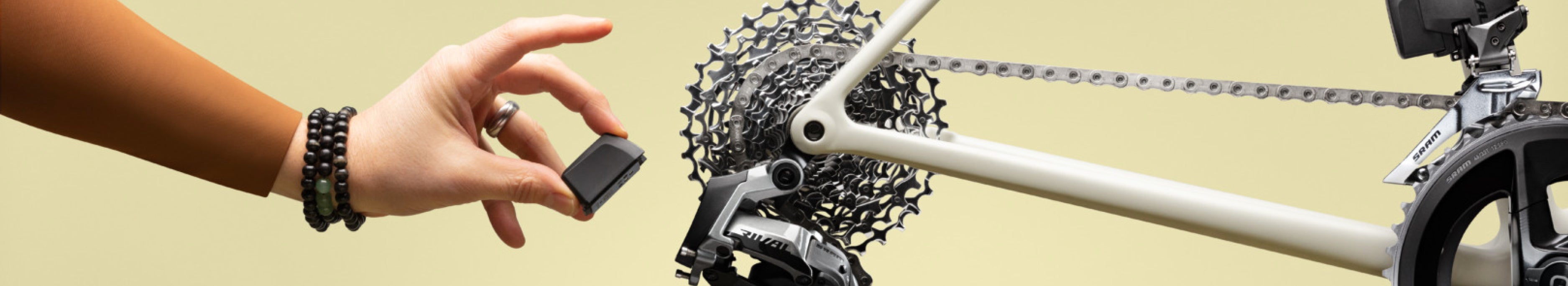 Filtered Collection Image