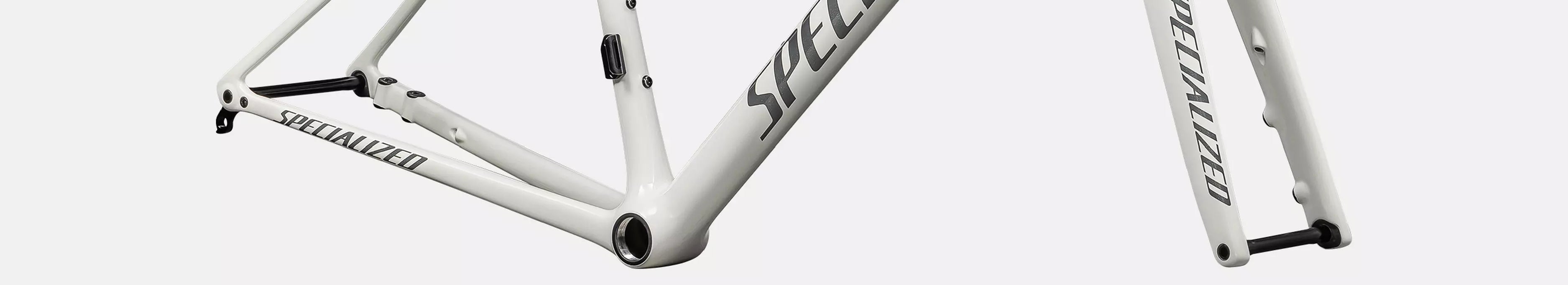 Filtered Collection Image