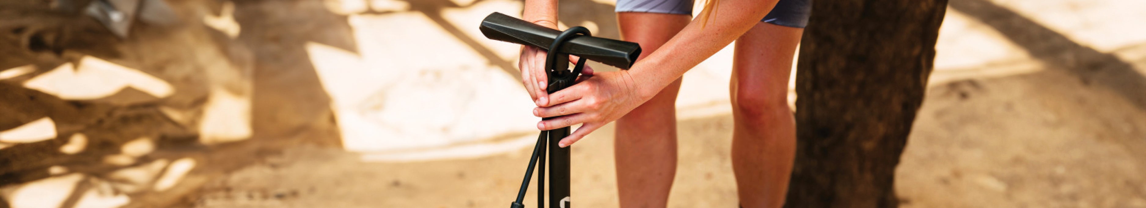 Filtered Collection Image