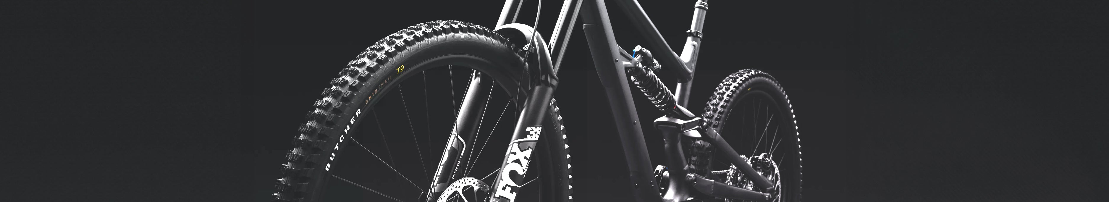 Filtered Collection Image