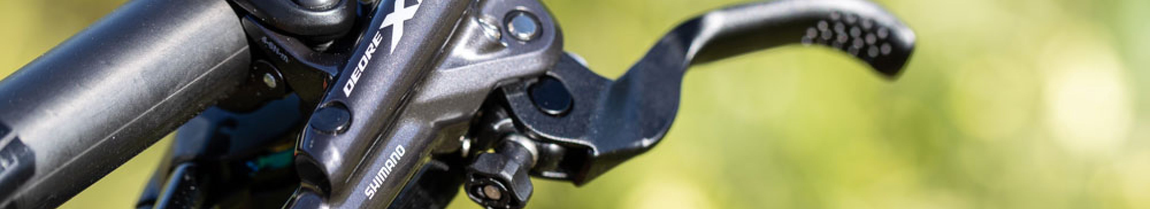 Filtered Collection Image