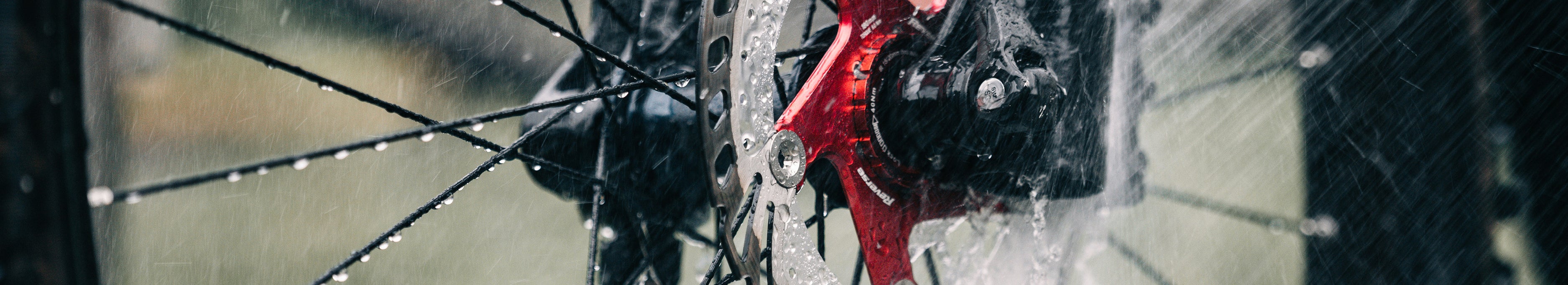 Filtered Collection Image