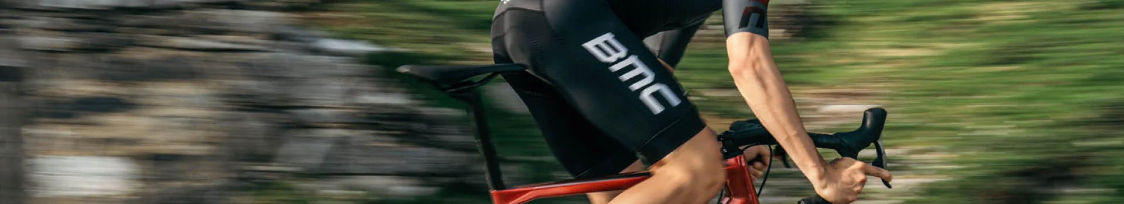 Filtered Collection Image