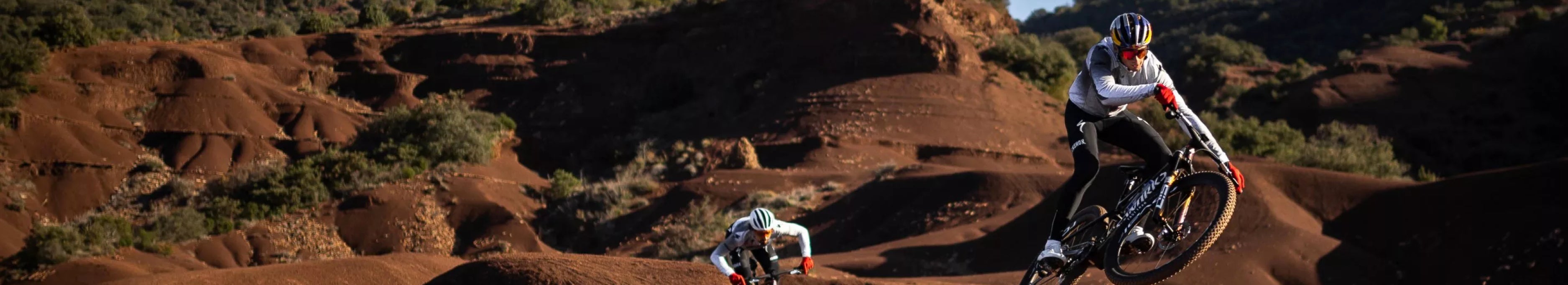 Filtered Collection Image