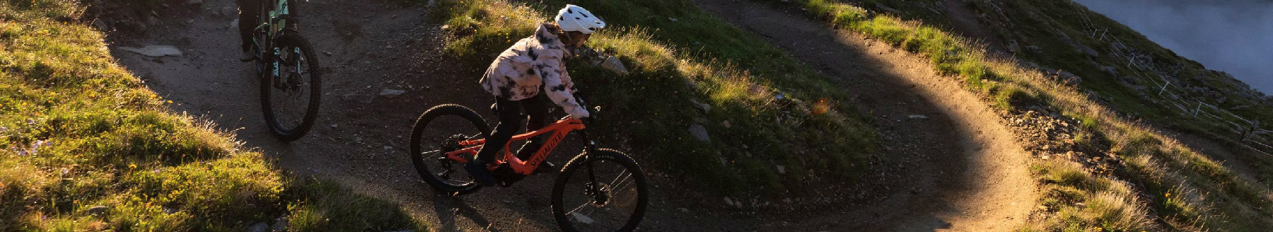 Filtered Collection Image