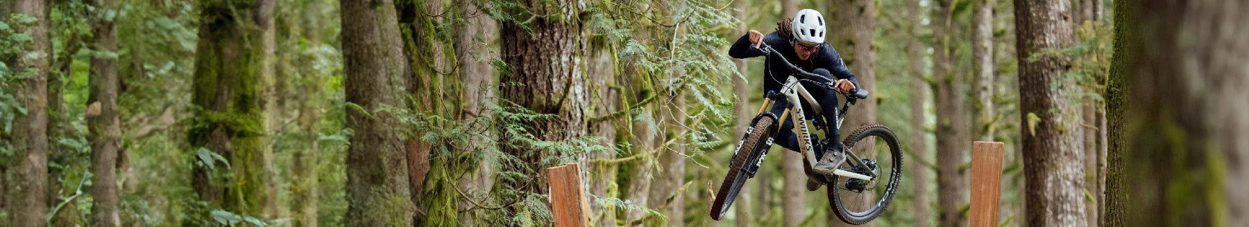 Filtered Collection Image