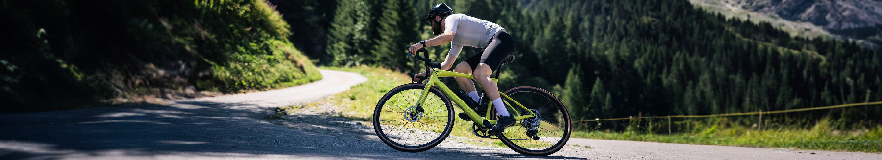 Filtered Collection Image