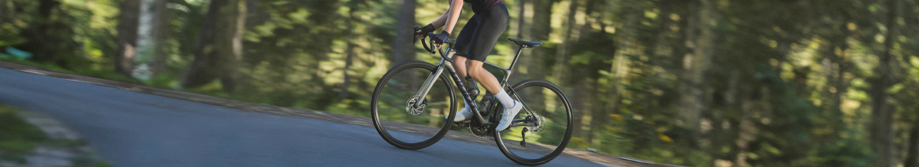 Filtered Collection Image